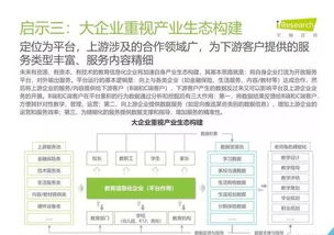 2019年中國教育信息化行業(yè)報告 信息技術(shù)咨詢服務(wù)的戰(zhàn)略角色與發(fā)展路徑